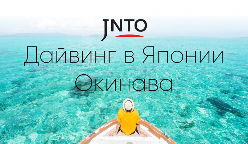 Дайвинг в Японии: особенности, стоимость, путеводитель JNTO