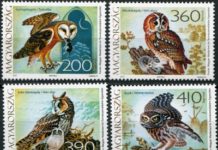 Особенности филателии