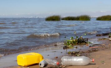 Вавада: проблема загрязнения и потепления, касающаяся каждого из нас