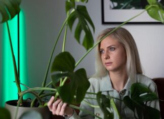 Комнатные растения во сне: толкование