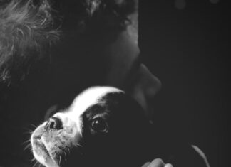 Смерть любимого питомца во сне