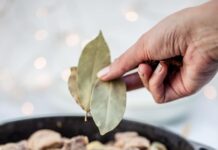 Рецепты с бараниной: вкусно и просто дома