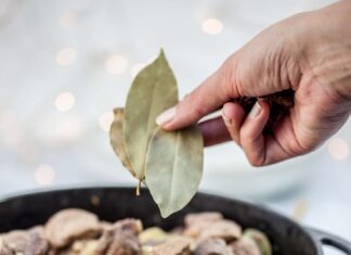 Рецепты с бараниной: вкусно и просто дома