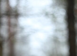 Сонник: Грибы на теле