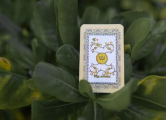 Карта Таро на ситуацию