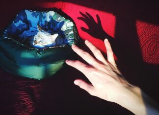 Дьявол в Таро: Истина или Миф