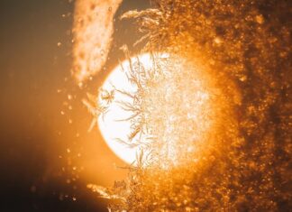 Эволюция и будущее Солнца