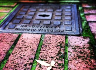 Где Хранится Сохранение GTA 5