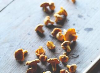 Грибы лисички: рецепты и идеи для кулинарии