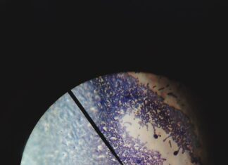 Соединение Луна и Уран в натальной карте