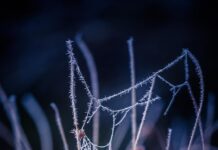 Паук плетет паутину во сне: толкование