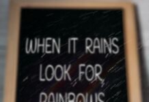 Красивые цитаты о дожде со смыслом