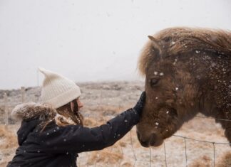 Блицы в Пони Тауне: Пошаговое Руководство