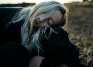 Волк во сне беременной женщины: толкование