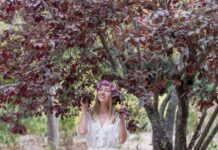 Дерево рака по гороскопу для женщин