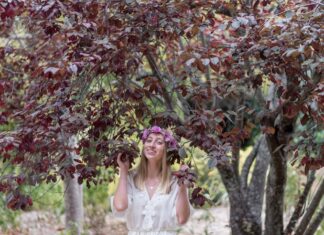 Дерево рака по гороскопу для женщин