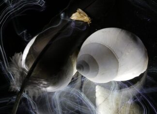 Луна и Юпитер в синастрии