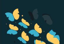 Анимация бабочки в Standford 2