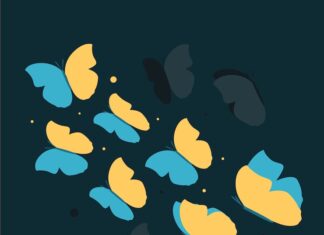 Анимация бабочки в Standford 2