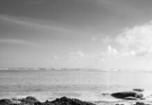 Туз Жезлов и Король Пентаклей: Два Лица Успеха