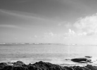 Туз Жезлов и Король Пентаклей: Два Лица Успеха