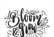 Цитаты о цветах: многообразие красок