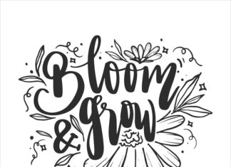 Цитаты о цветах: многообразие красок