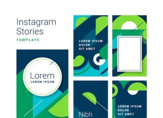 Идеи для описания профиля в WhatsApp