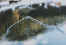 Видеть во сне реку с большим количеством воды