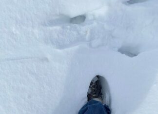 Толкование сна: хождение по тонкому льду