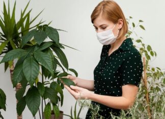 Удаление седины в Растми: Пошаговое руководство