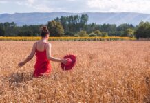 Сны о пшенице: толкование