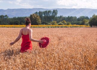 Сны о пшенице: толкование