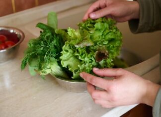 Рецепты из салата Айсберг