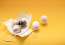 Сбор яиц во сне: толкование сна