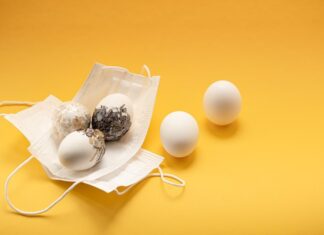 Сбор яиц во сне: толкование сна