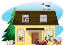 Раху в 8 доме и Кету в 2