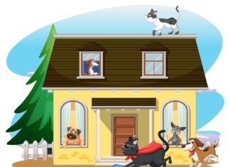 Раху в 8 доме и Кету в 2