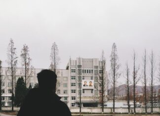 Узнать о смертях в городе: способы и источники