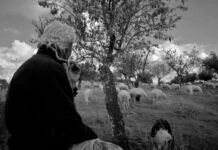 Сонник: умершие бабушка и дедушка