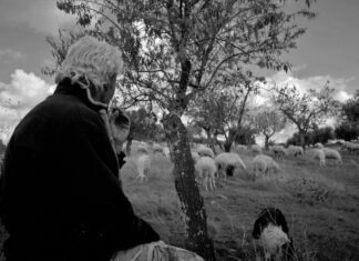 Сонник: умершие бабушка и дедушка