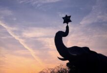 Слон как символ: олицетворение мудрости и силы