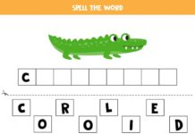 Загадки для крокодила