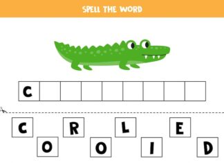 Загадки для крокодила