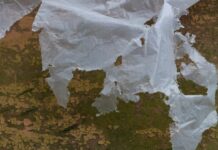 Карта дня на завтра: правдивый прогноз