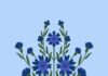 Василек: значение на языке цветов
