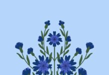 Василек: значение на языке цветов