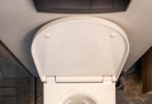 Толкование сна: полный унитаз фекалий